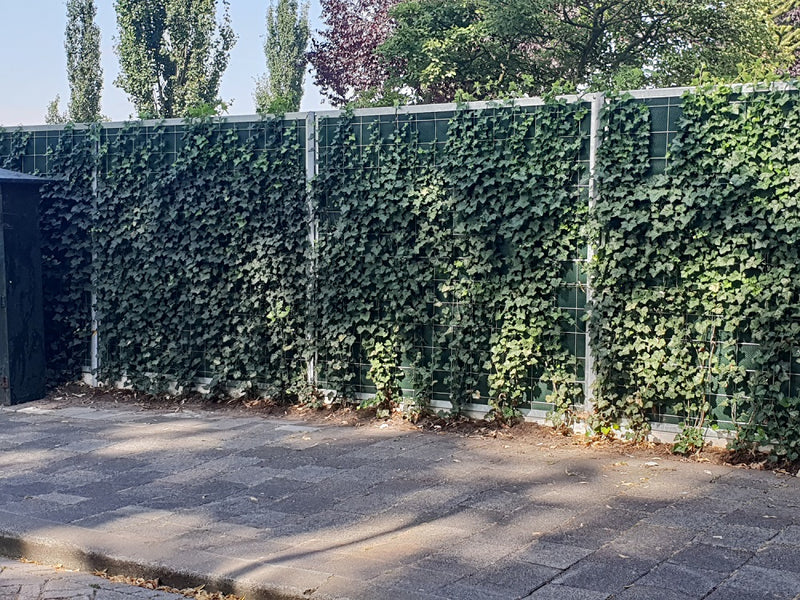 Noise-Reducer SA-36 Geluidscherm – 100 × 250 cm (B × H)