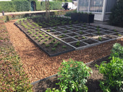 Perziksteen in voortuin 