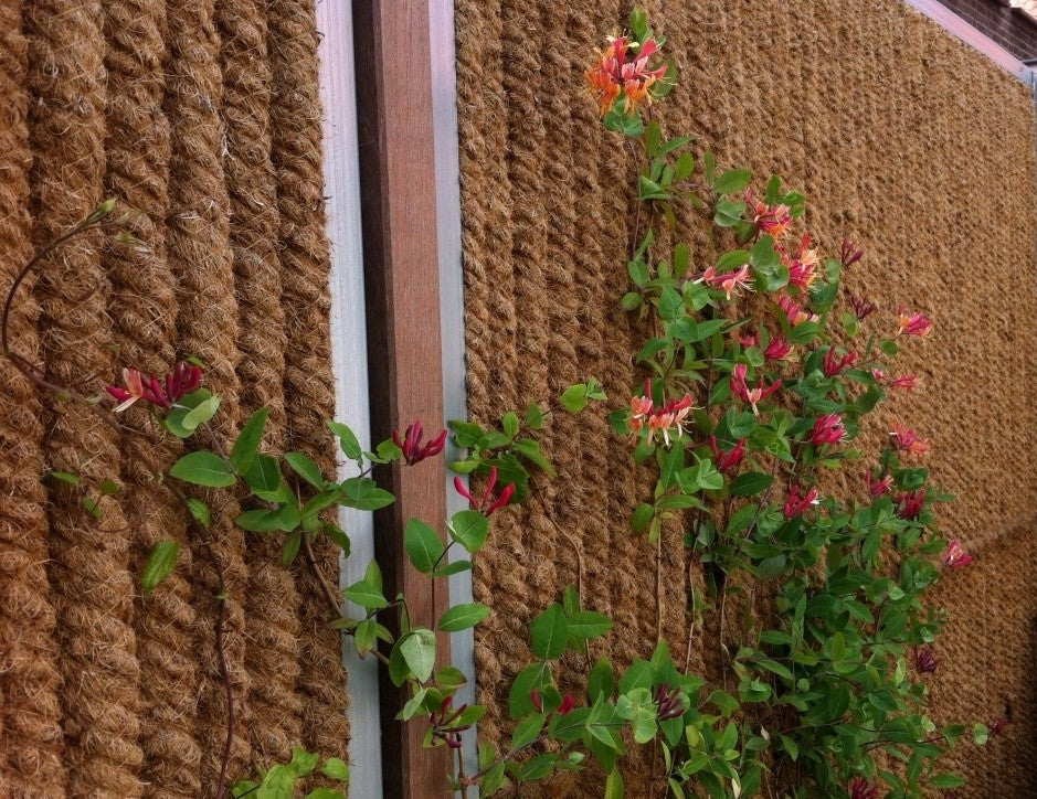 Kokowall met hardhouten paal